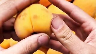 The world of fruit