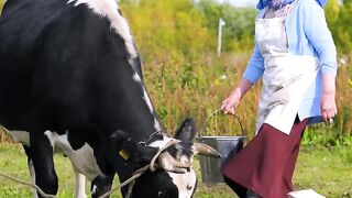 The World Everything Amazing | Episode 595 | 2024 |