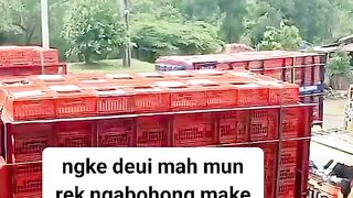 ayam broiler || kata kata lucu 276