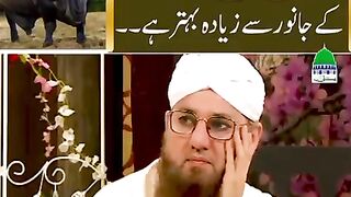 کیا اپ نے اج درود پاک پڑھا بڑی عید کے جانور کے بارے میں ویڈیو