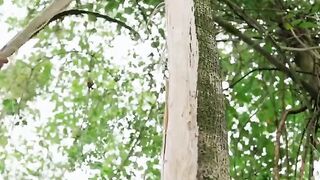 The World Everything Amazing | Episode 606 | 2024 |