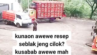 ayam broiler || kata kata lucu 278