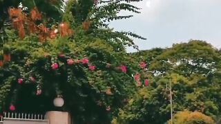 واذا ضيعني الهوى شي صيف .. بقلبك بتلاقيني ????