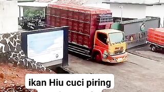 ayam broiler || kata kata lucu 280