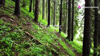 The Mystery of The Enchanted Forest