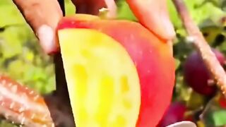 Fruit fun 7