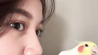 waaoww burung ini bisa bernyanyi Doraemon