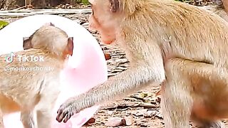 Funny videos funny 2