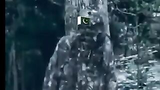 How  ISI not see