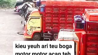 ayam broiler || kata kata lucu 282