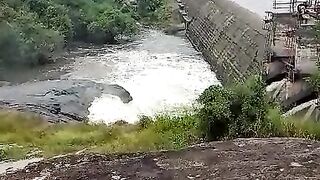 Rajanganaya daam srilanka anurdhapura