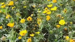 القرآن الكريم 30