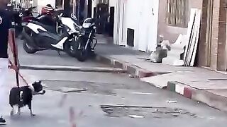 Funny Blinde Man Prank | Funny Prank | New Funny Video