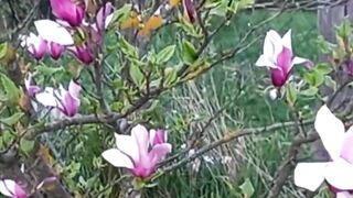 Beautiful nature 168