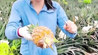 Buah nanas