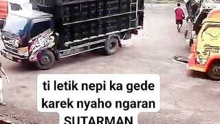 ayam broiler || kata kata lucu 286