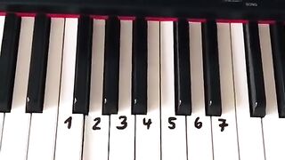 Tink What is tune
