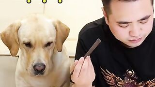 My dog is very good 2