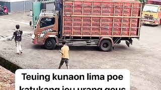 ayam broiler || kata kata lucu 288
