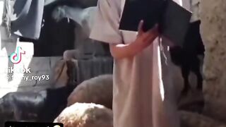 Very funny video????????2