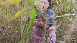 CORN CAKE