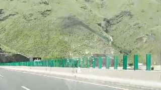 Green mountains