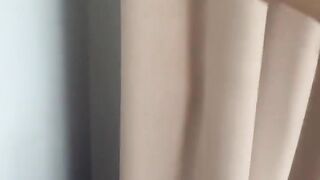 Funniest dog hide and seek