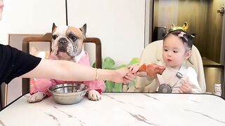 Angry young man dog funny