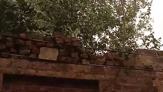بارشوں کا موسم