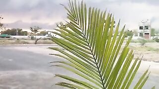 خوبصورت منظر 4