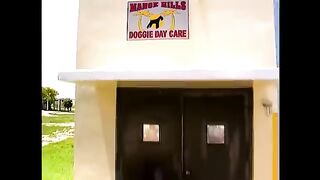Baha Men - Who Let The Dogs Out (Official Video)