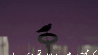 Mohbt me ye imkan thory hota h