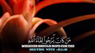 Quran Al Kareem #Quran #surah # 2