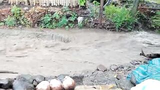 Flood 8
