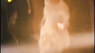 La viuda de blanco