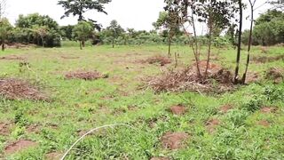 Terrains