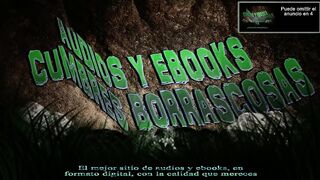 Las aventuras del valeroso soldado Schwejk. Por Jaroslav Hašek
