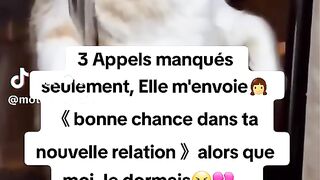 Chat exprimant un sentiment d'incompréhension de l'homme ????