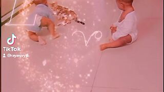 Les bébés jumeaux ❤️