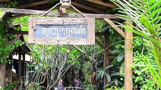 Borobudur Coffee Shack