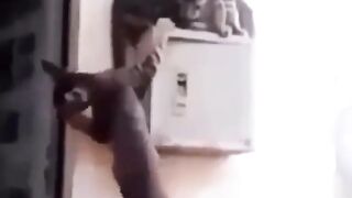 НЕ для троих