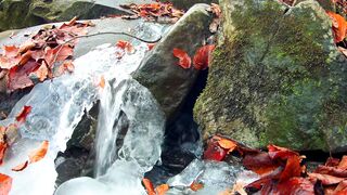 NATURE 3220