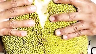 Nangka campedak