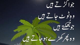 beautiful Urdu quotes 10