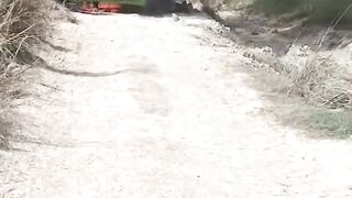 Fun funn funny videos funny