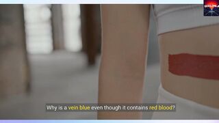 Why is a vein blue even though it contains red blood ?