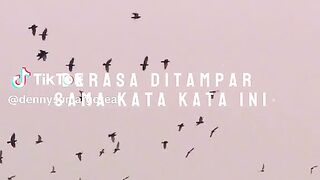 Quotes Afternoon 2