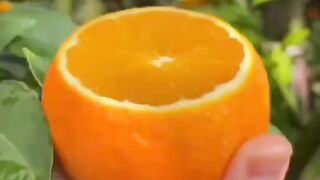 Orange juice 4