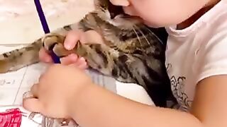 اطفال_يحبون_القطط#