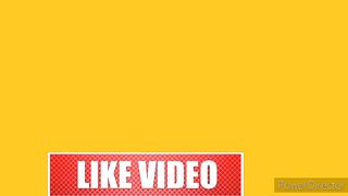 ???? dog and cat very funny video